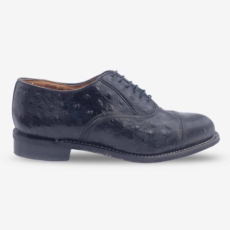 Side front view of Bishop Oxford shoes in black with ostrich print cap toe design.