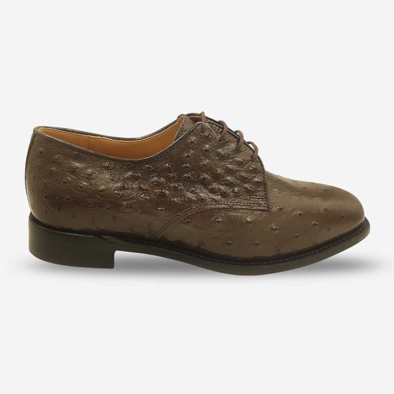 Side front view of Johnston & Murphy chocolate brown derby shoe